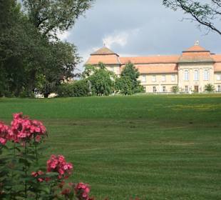 Blick auf Schloss Fasanerie vom Schlosspark aus