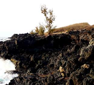 Cap Méchant