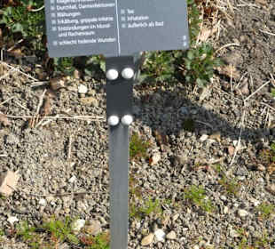 Erläuterungen der Kräuter