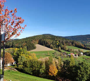 Blick hinauf Richtung Masenberg