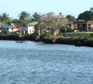 Wasini mainland