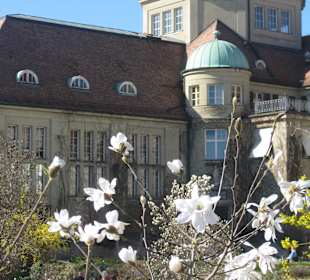 Botanischer Garten