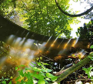 Zum Wasser runter klar