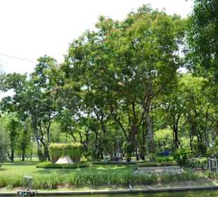 Lumphini Park