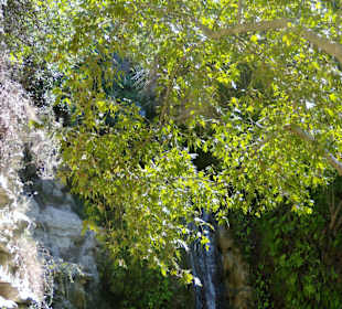 Wasserfallbecken des unteren Wasserfalls