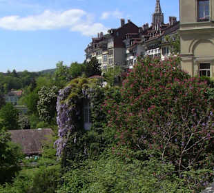 Sicht nach oben von der Aarebrücke