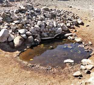 Wadi Abenteuer Safari