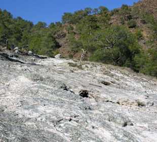 Ansicht der "Feuerfläche"