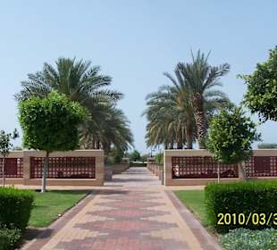 Deptak w Abu Dhabi Cornisch