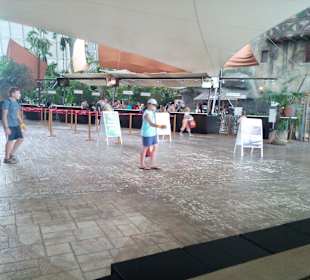 Tropical Islands in Krausnick