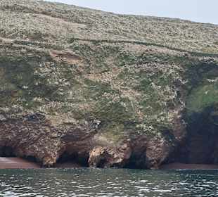 Ausflug Ballestas Inseln