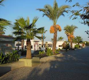 Promenade sauber und schön angelegt