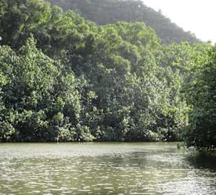 Auf dem Fluss