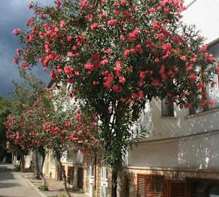 Prinzeninsel/Büyük Ada