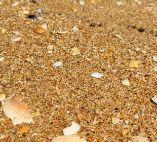 Praia de Nossa Senhora da Rocha