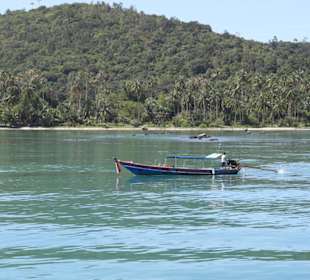 Fahrt zur Green Peace Insel