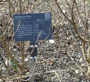 Erläuterungen der Kräuter