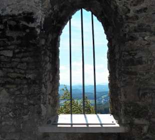 Naturpark Sparbach Hinterbrühl