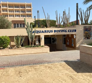 Aquarius Diving Club Basis im Marriott Hotel