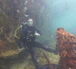 Tauchen am Wrack der Fähre in der Bucht Samana