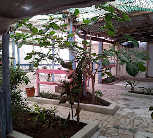 Verstecktes Paradies