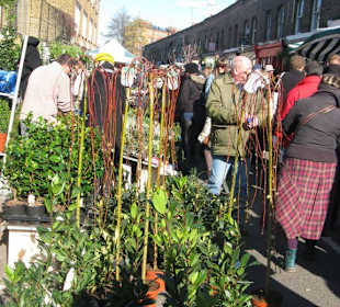 Flower Market