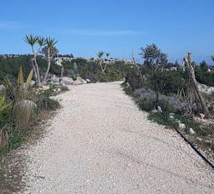 Skulpturenpark