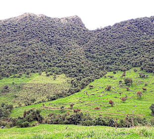 Rundweg „La Isla“ Path