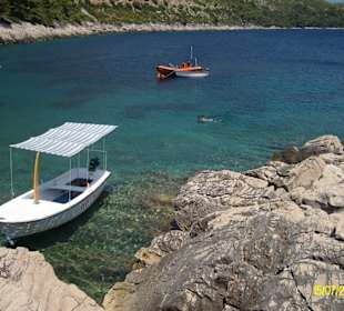 Strand Priscapac