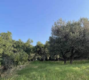 Sport & Freizeit