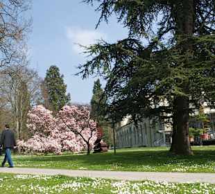 Kurpark nahe dem Hotel Du Parc