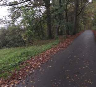 Naturschutzgebiet Listhof