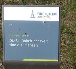 Hain der Kulturen
