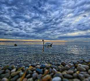 Seepromenade