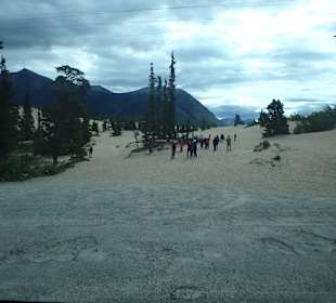 Carcross Desert - Die kleinste Wüste der Welt