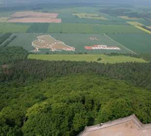 Blick vom Kyffhäuser zu Henriette dem größten Huhn