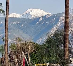 Stadtrundfahrt Alanya