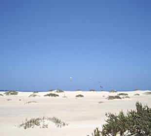 Dunas