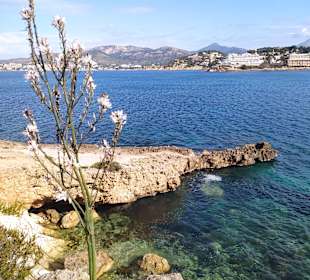 Wandern Santa Ponça / Santa Ponsa