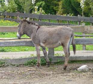 Karls Erlebnishof-Warnsdorf