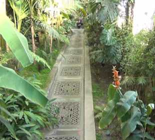 Real Jardín Botánico de Madrid