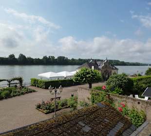 Blick vom Rosengarten auf den Rhein
