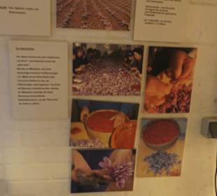 Spicy's Gewürzmuseum