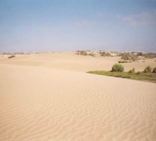 Gran Canaria Maspalomas Sanddünen