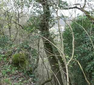 Wanderung rund um das Rusenschloss Gerhausen