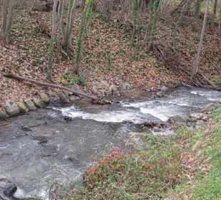 Partie an der Queich