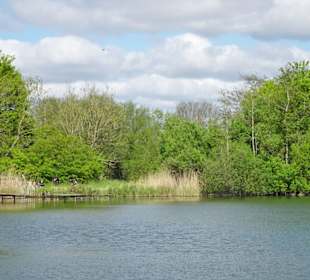 Eindrücke vom Rundgang im Seenpark