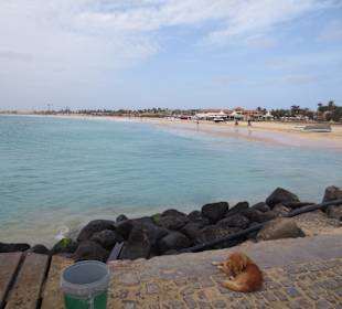 Die Farbe des Wassers, ich wander aus