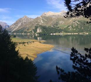 Silsersee