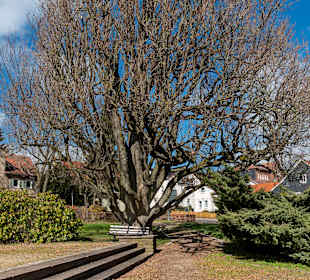 Wandern Friedrichroda